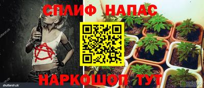 таблы Бийск