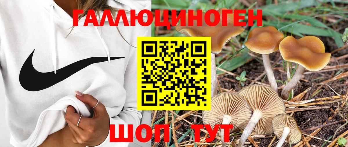 Галлюциногенные грибы прущие грибы Кирово-Чепецк