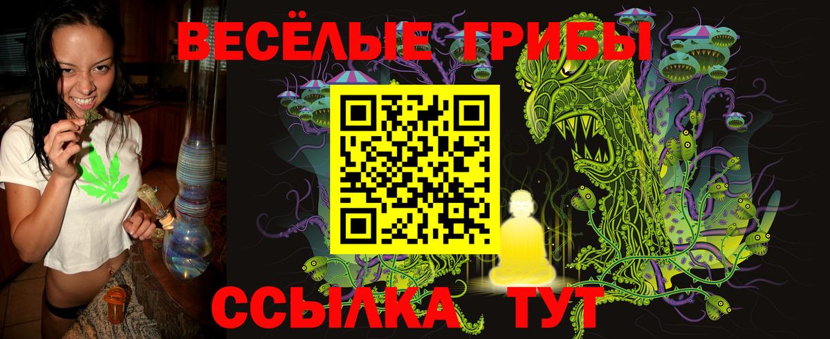 Кирово-Чепецк  Галлюциногенные грибы прущие грибы  Вход с VPN  Галлюциногенные грибы прущие грибы 